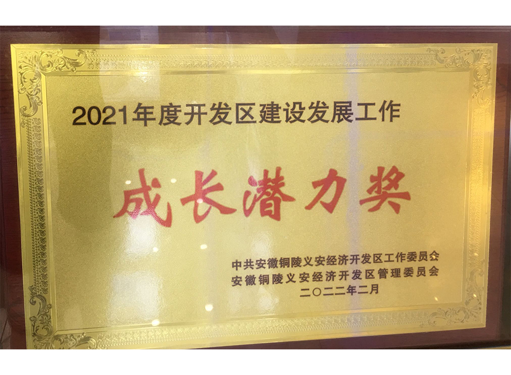 成长潜力奖